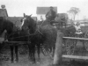 horse-and-buggy-001