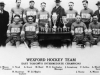 34-I-3-X-1 Wexford Hockey Team